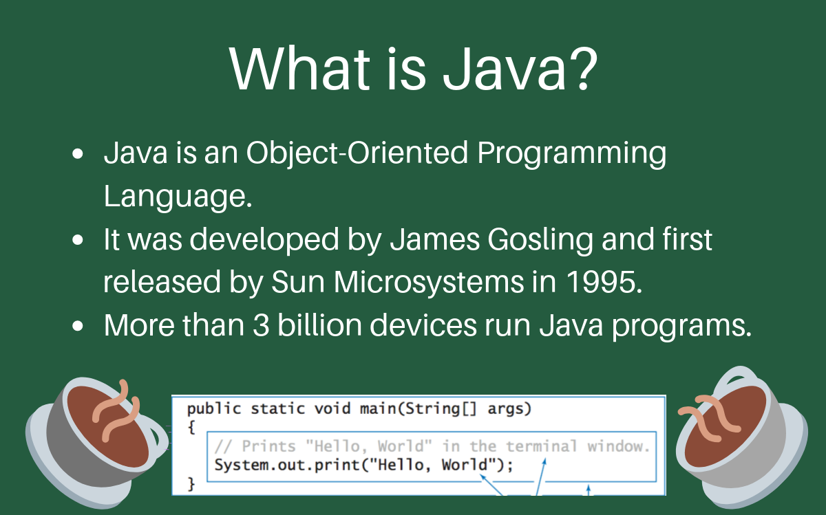 Java (programming language)